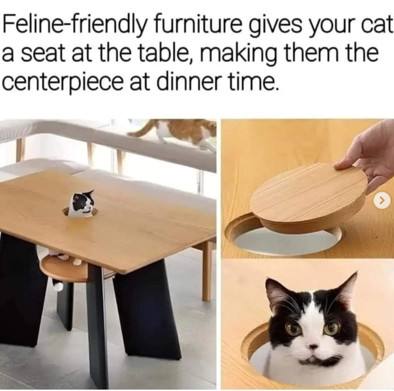 Feline-friendly furniture gives your cat a seat at the table, making them the centerpiece at dinner time. >
