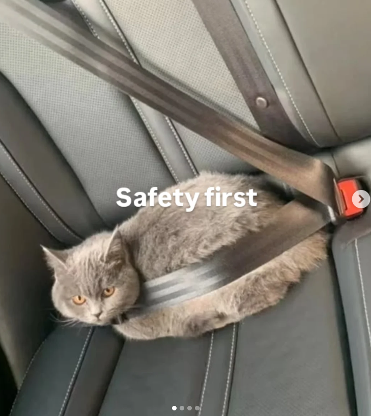 Safety first >