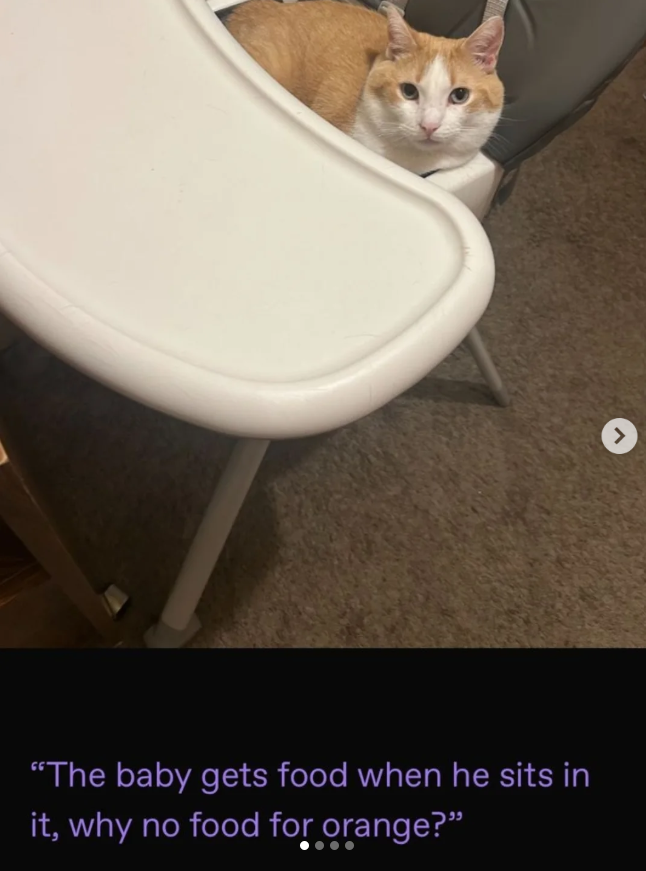 "The baby gets food when he sits in it, why no food for orange?"