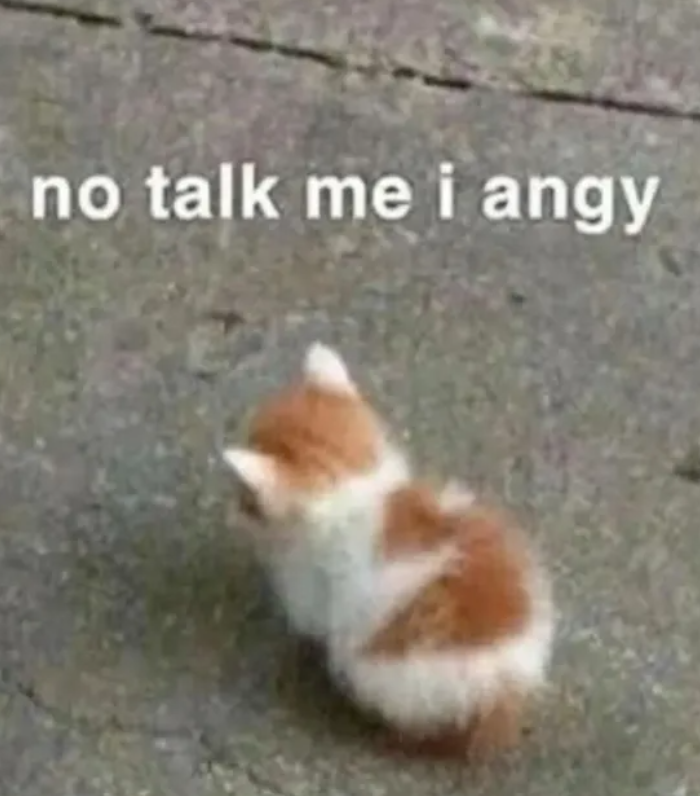 no talk me i angy