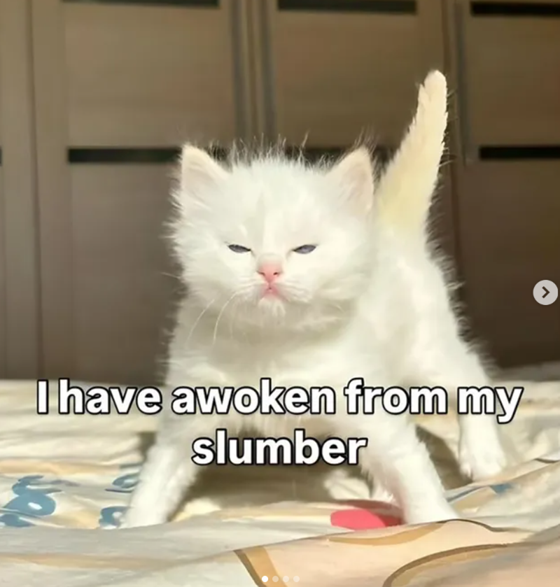 I have awoken from my slumber >