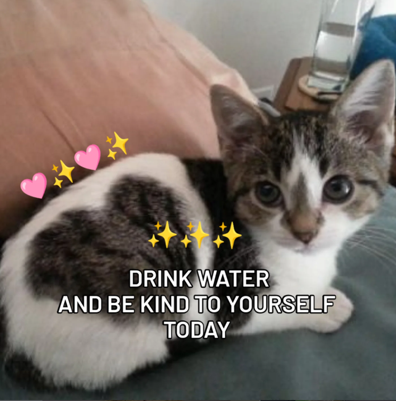 DRINK WATER AND BE KIND TO YOURSELF TODAY