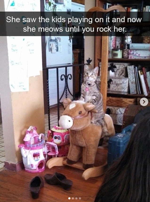 She saw the kids playing on it and now she meows until you rock her. 00 GOOG >