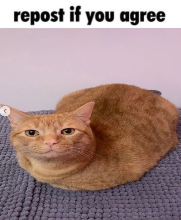repost if you agree L