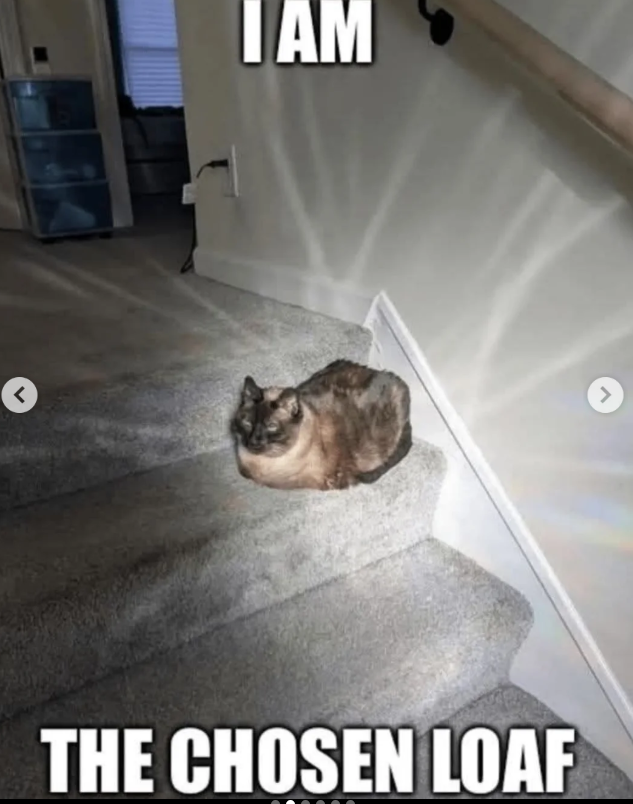 < I AM THE CHOSEN LOAF >