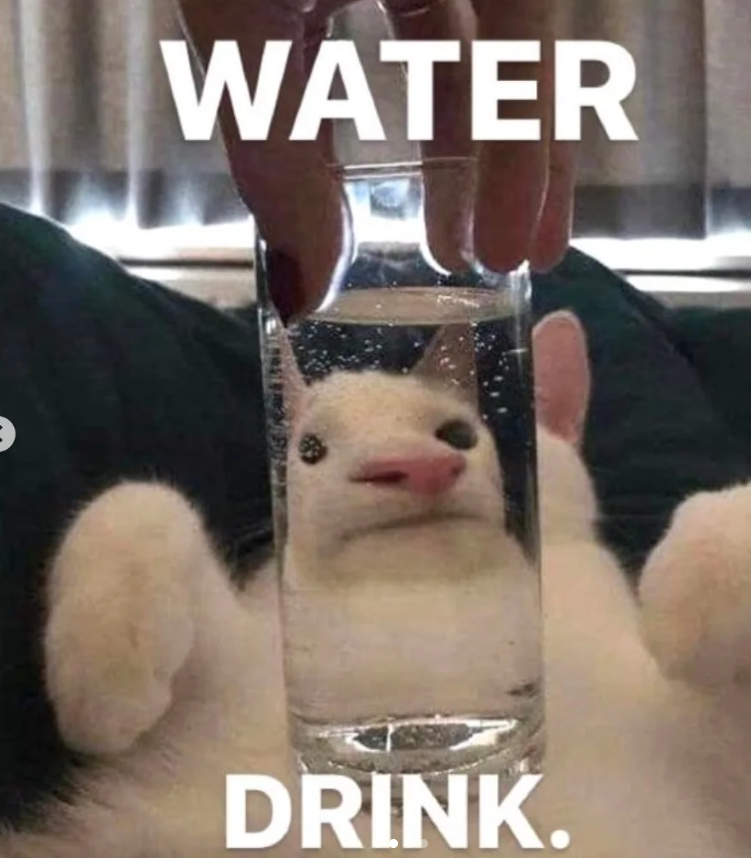 WATER DRINK.