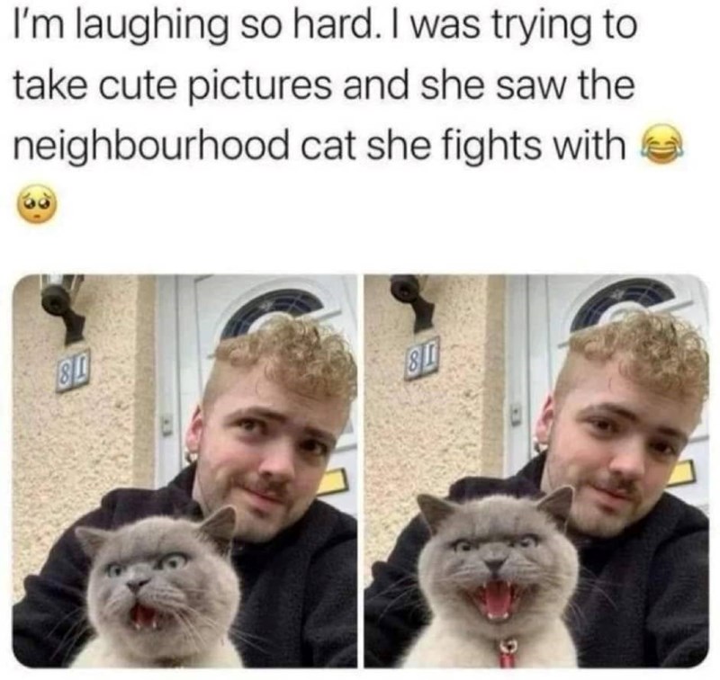 I'm laughing so hard. I was trying to take cute pictures and she saw the neighbourhood cat she fights with 39 80 80