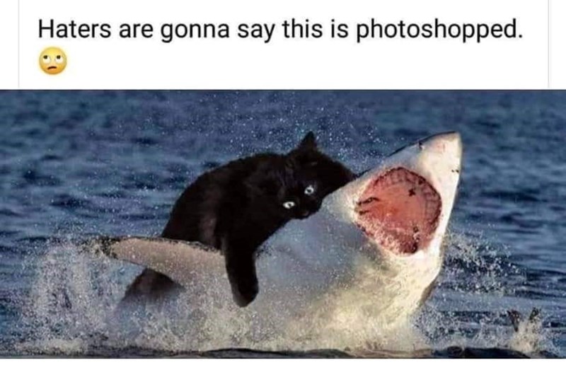Haters are gonna say this is photoshopped.