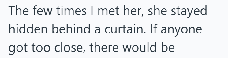 The few times I met her, she stayed hidden behind a curtain. If anyone got too close, there would be