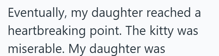 Eventually, my daughter reached a heartbreaking point. The kitty miserable. My daughter was