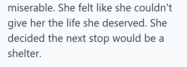 miserable. She felt like she couldn't give her the life she deserved. She decided the next stop would be a shelter.