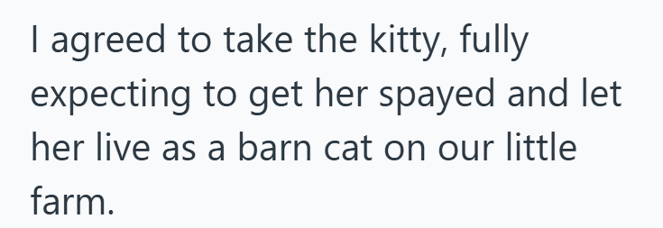 I agreed to take the kitty, fully expecting to get her spayed and let her live as a barn cat on our little farm.