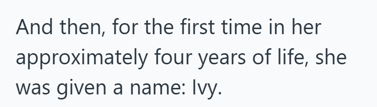 And then, for the first time in her approximately four years of life, she was given a name: Ivy.