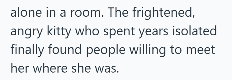 alone in a room. The frightened, angry kitty who spent years isolated finally found people willing to meet her where she was.