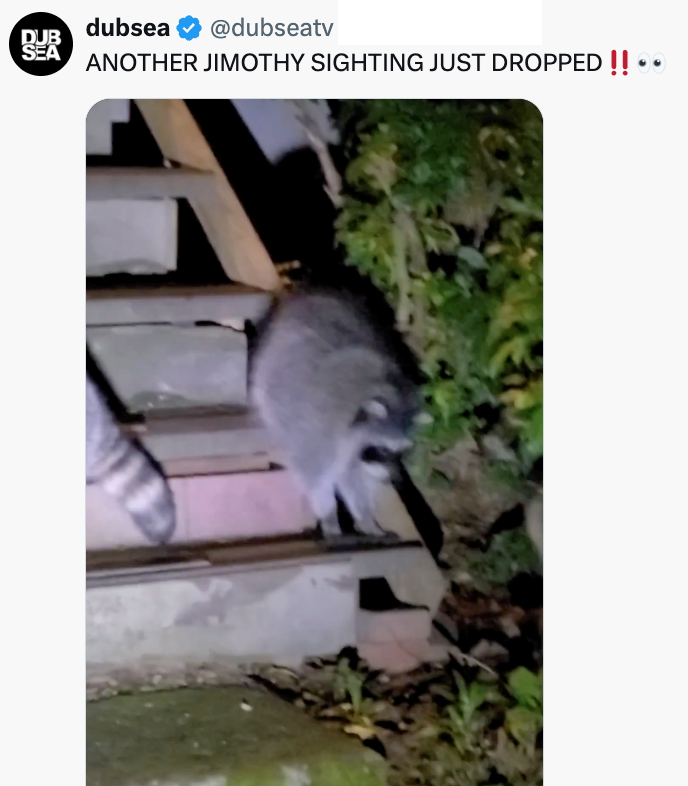 dubsea DUB SEA @dubseatv ANOTHER JIMOTHY SIGHTING JUST DROPPED!! ••