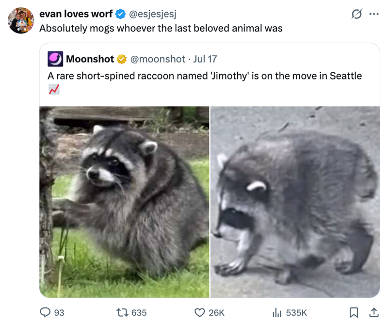 evan loves worf ❤ @esjesjesj Absolutely mogs whoever the last beloved animal was Moonshot @moonshot. Jul 17 A rare short-spined raccoon named 'Jimothy' is on the move in Seattle 93 17635 26K 535K