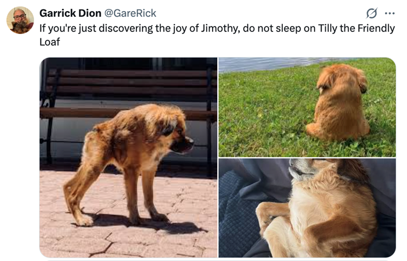 Garrick Dion @GareRick If you're just discovering the joy of Jimothy, do not sleep on Tilly the Friendly Loaf