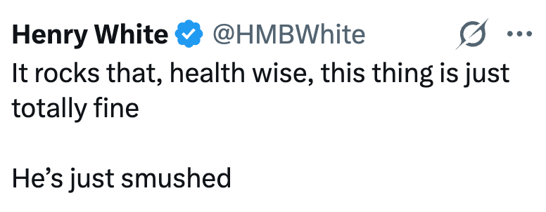 Henry White @HMBWhite It rocks that, health wise, this thing is just totally fine He's just smushed