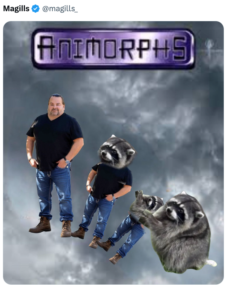 Magills @magills_ ANIMORPHS