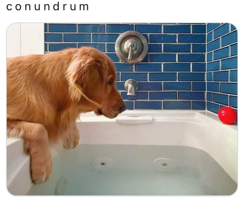conundrum GL