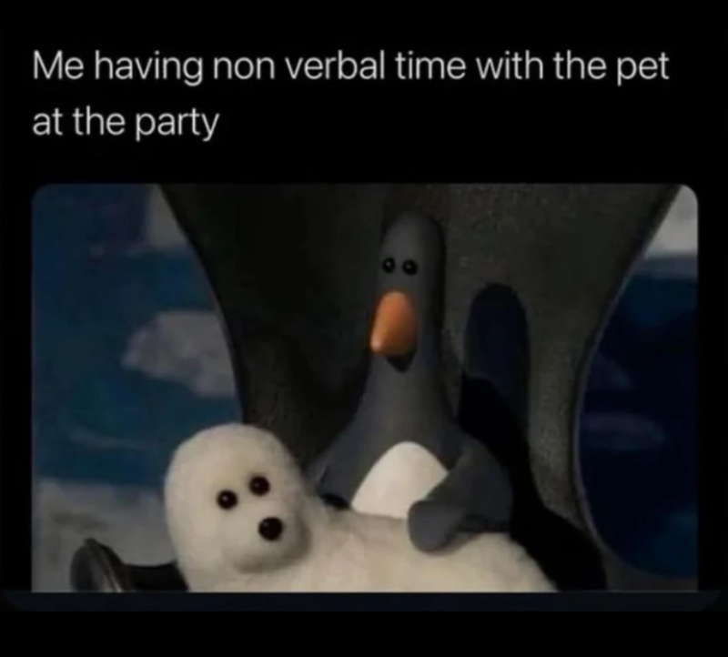 Me having non verbal time with the pet at the party