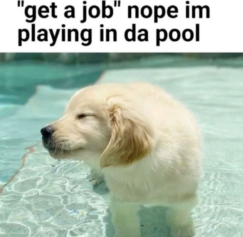 "get a job" nope im playing in da pool