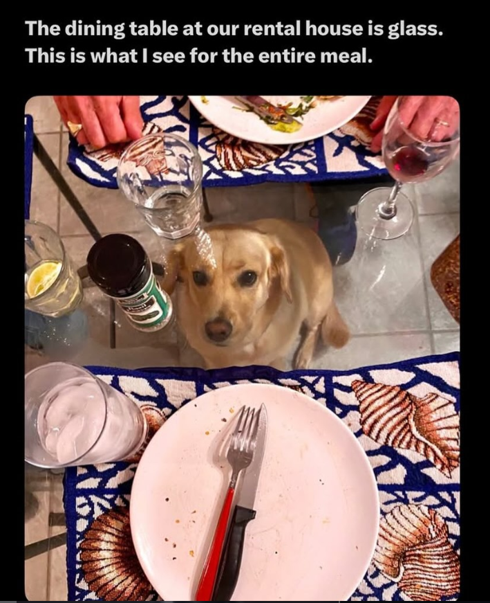 The dining table at our rental house is glass. This is what I see for the entire meal.
