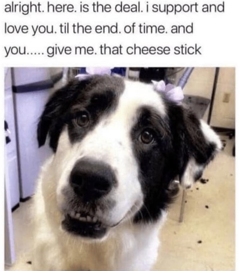 alright. here. is the deal. i support and love you. til the end. of time. and you..... give me. that cheese stick