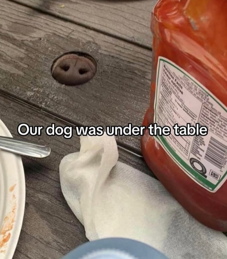 8 tion Facts Our dog was under the table