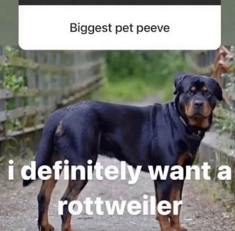Biggest pet peeve i definitely want a rottweiler