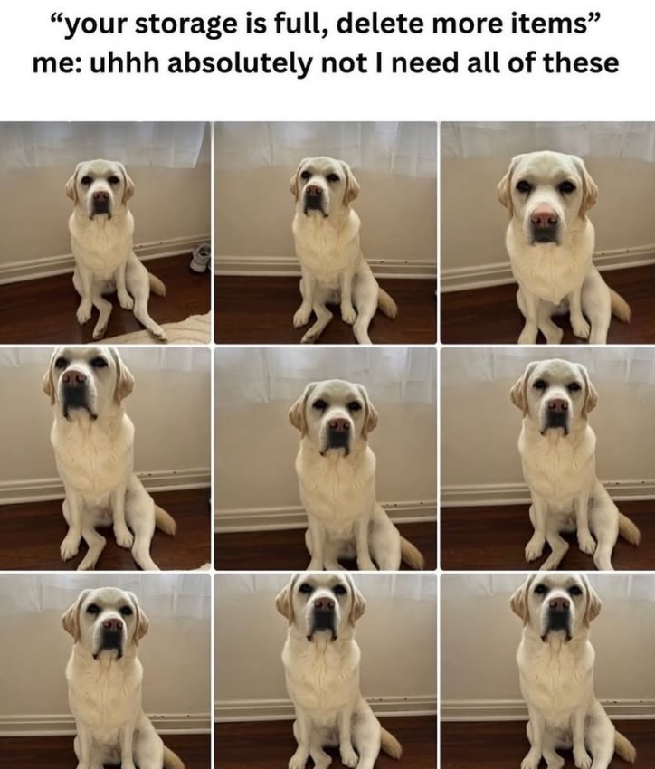 "your storage is full, delete more items" me: uhhh absolutely not I need all of these