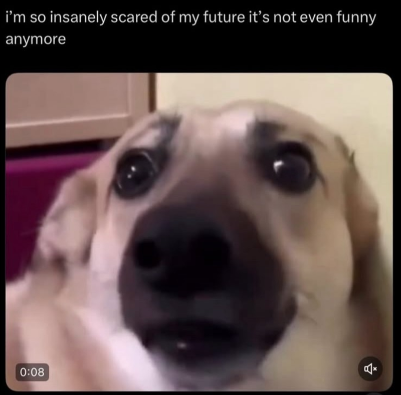 i'm so insanely scared of my future it's not even funny anymore 0:08