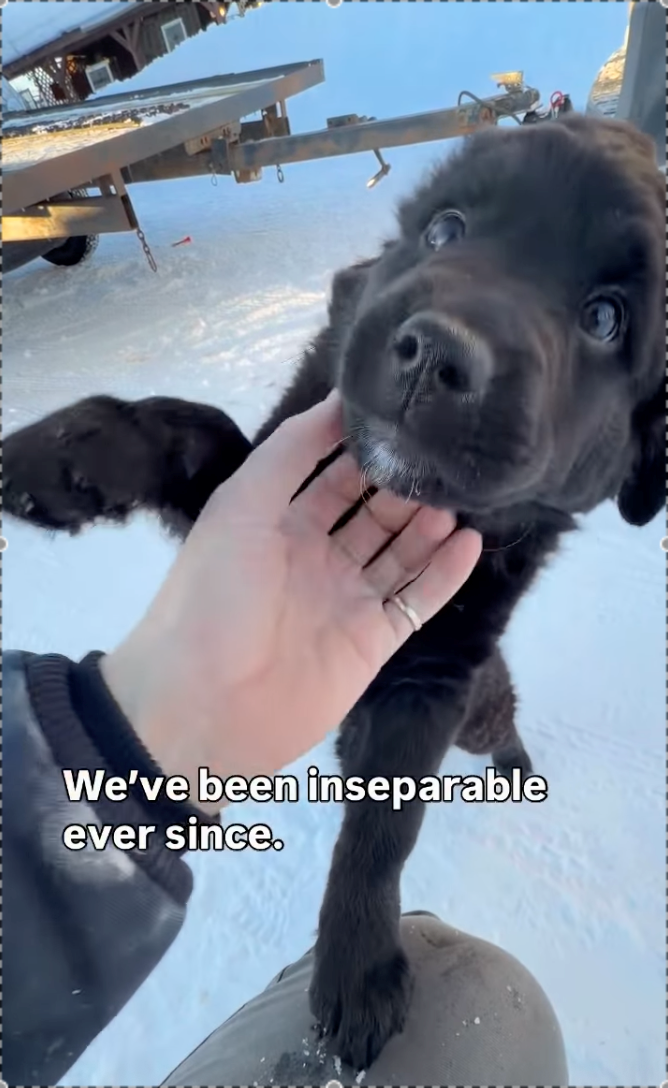 We've been inseparable ever since.