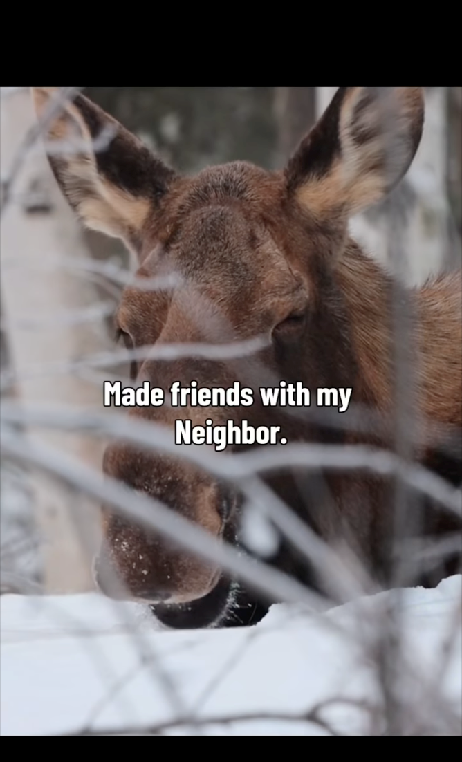 Made friends with my Neighbor.