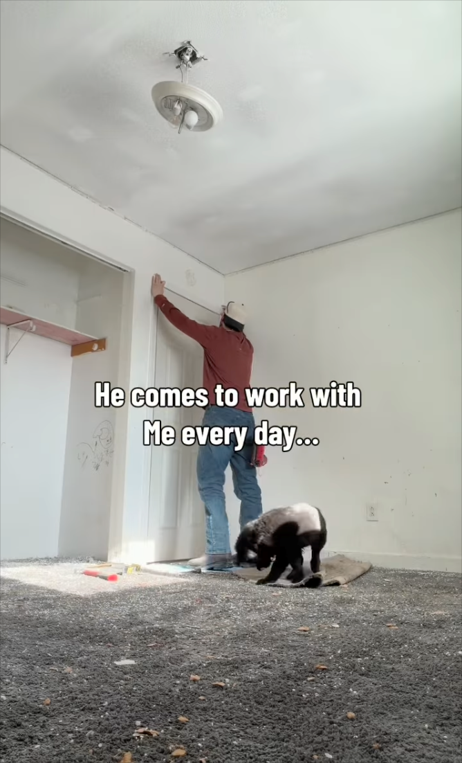 He comes to work with Me every day...
