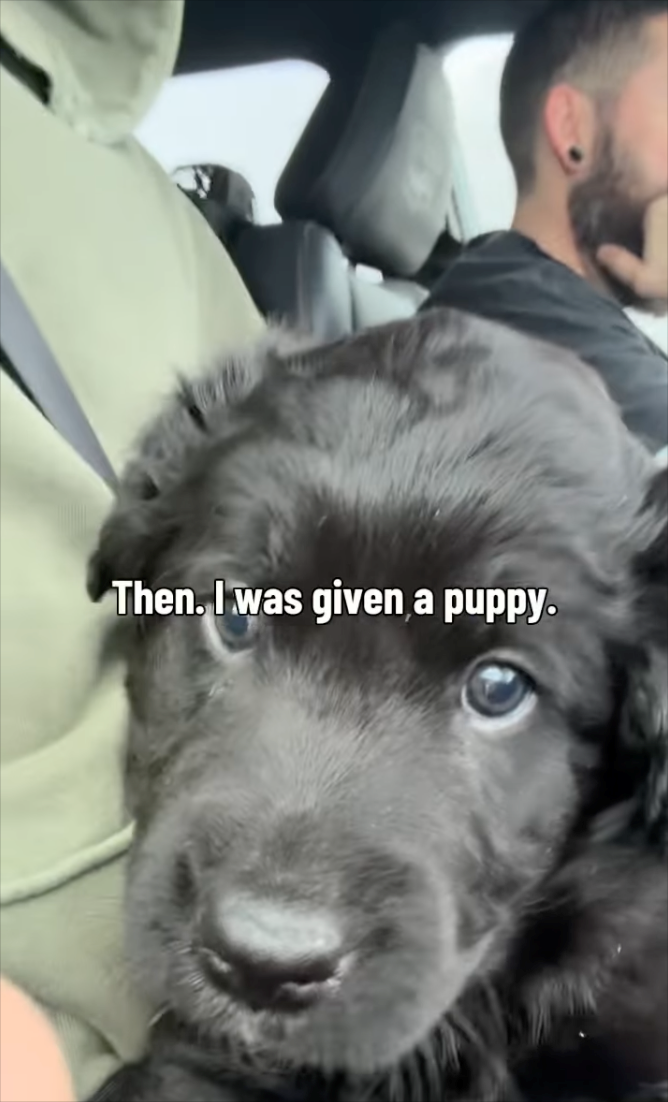 Then. I was given a puppy.