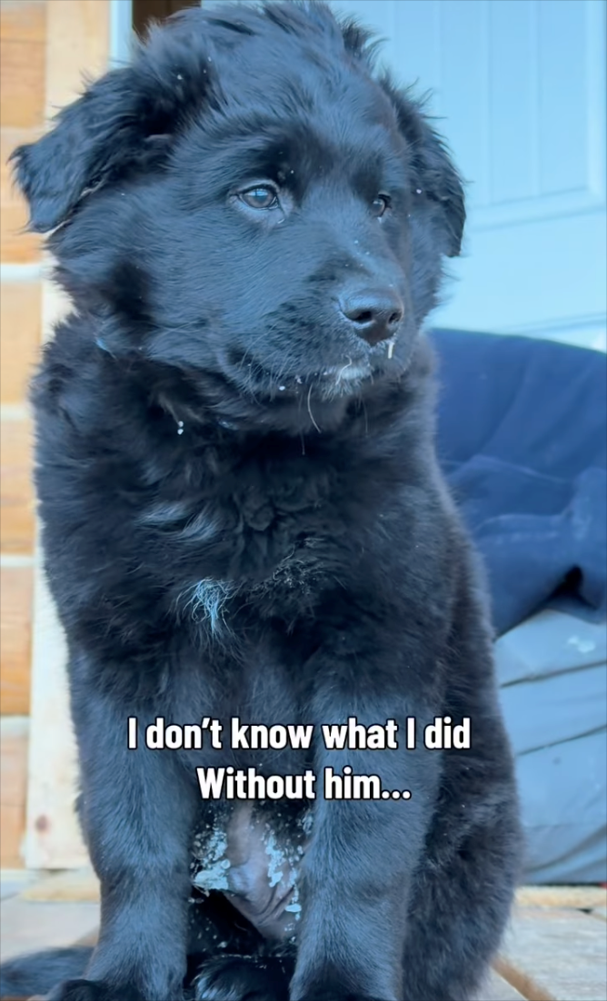 I don't know what I did Without him...