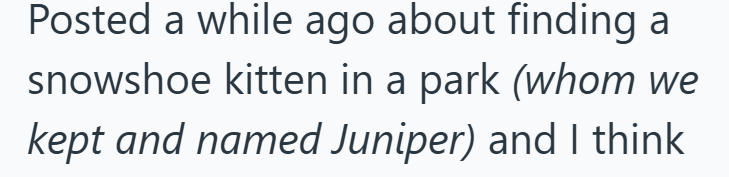 Posted a while ago about finding a snowshoe kitten in a park (whom we kept and named Juniper) and I think