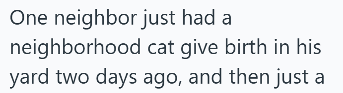 One neighbor just had a neighborhood cat give birth in his yard two days ago, and then just a