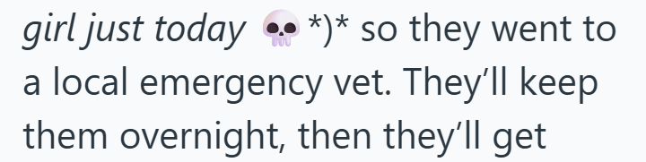 *)* so they went to girl just today a local emergency vet. They'll keep them overnight, then they'll get