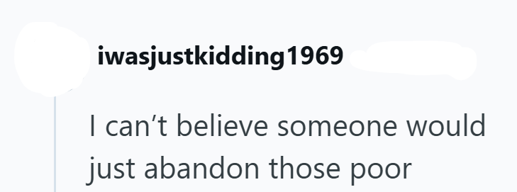 iwasjustkidding 1969 I can't believe someone would just abandon those poor