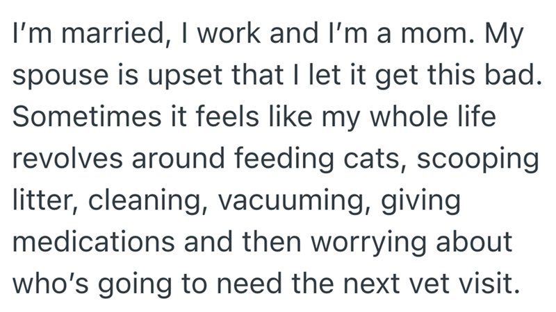 I'm married, I work and I'm a mom. My spouse is upset that I let it get this bad. Sometimes it feels like my whole life revolves around feeding cats, scooping litter, cleaning, vacuuming, giving medications and then worrying about who's going to need the next vet visit.