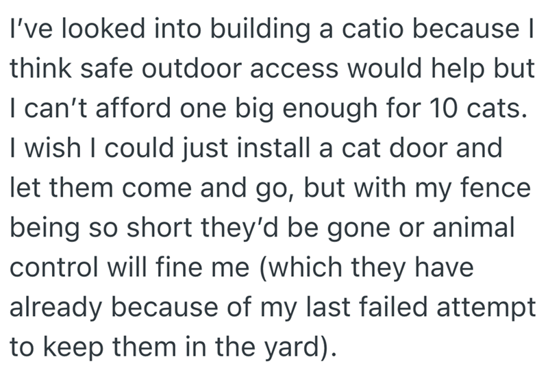 I've looked into building a catio because I think safe outdoor access would help but I can't afford one big enough for 10 cats. I wish I could just install a cat door and let them come and go, but with my fence being so short they'd be gone or animal control will fine me (which they have already because of my last failed attempt to keep them in the yard).
