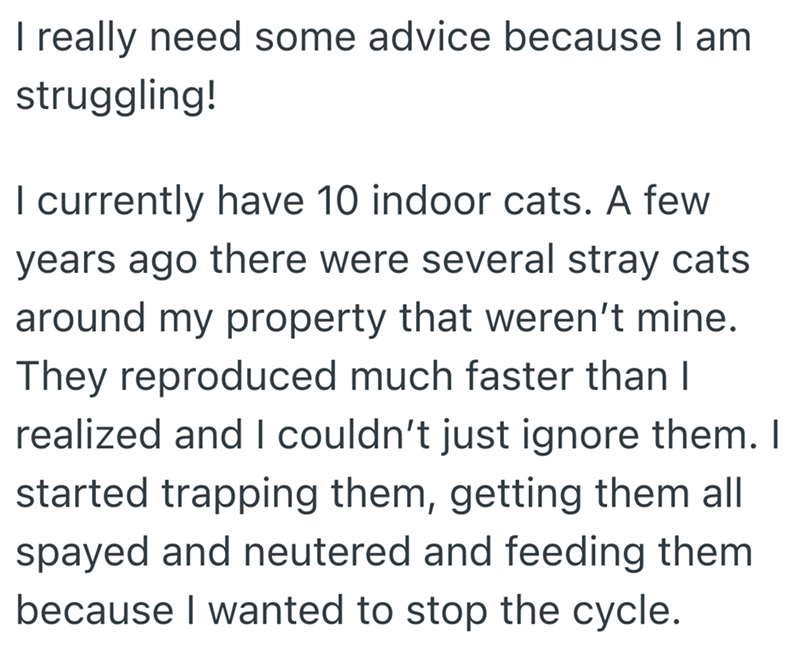 I really need some advice because I am struggling! I currently have 10 indoor cats. A few years ago there were several stray cats around my property that weren't mine. They reproduced much faster than I realized and I couldn't just ignore them. I started trapping them, getting them all spayed and neutered and feeding them because I wanted to stop the cycle.