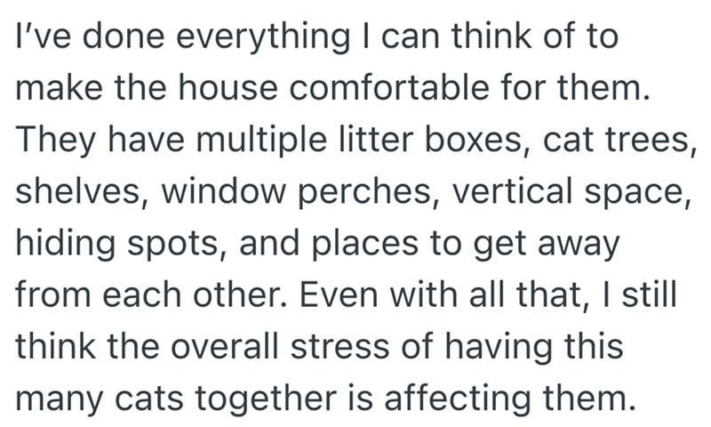 I've done everything I can think of to make the house comfortable for them. They have multiple litter boxes, cat trees, shelves, window perches, vertical space, hiding spots, and places to get away from each other. Even with all that, I still think the overall stress of having this many cats together is affecting them.