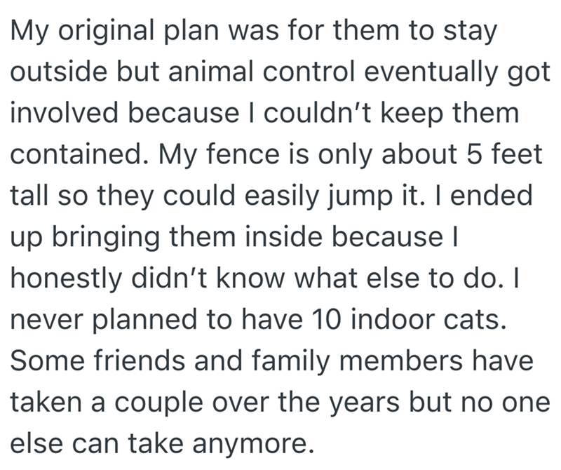 My original plan was for them to stay outside but animal control eventually got involved because I couldn't keep them contained. My fence is only about 5 feet tall so they could easily jump it. I ended up bringing them inside because I honestly didn't know what else to do. I never planned to have 10 indoor cats. Some friends and family members have taken a couple over the years but no one else can take anymore.