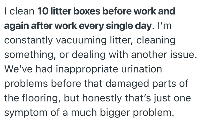 I clean 10 litter boxes before work and again after work every single day. I'm constantly vacuuming litter, cleaning something, or dealing with another issue. We've had inappropriate urination problems before that damaged parts of the flooring, but honestly that's just one symptom of a much bigger problem.