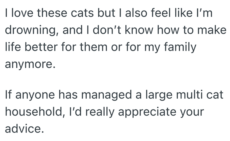 I love these cats but I also feel like I'm drowning, and I don't know how to make life better for them or for my family anymore. If anyone has managed a large multi cat household, I'd really appreciate your advice.