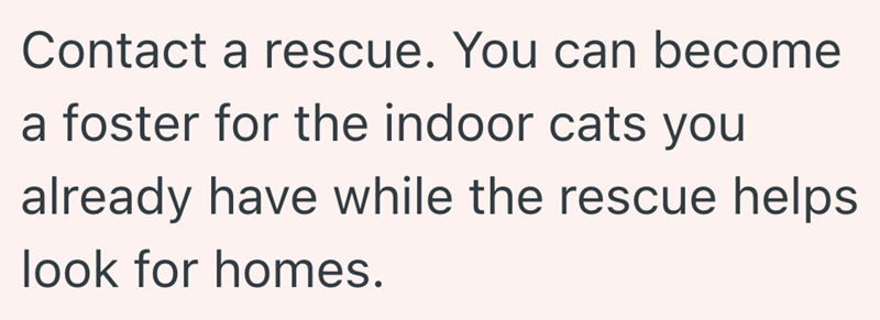 Contact a rescue. You can become a foster for the indoor cats you already have while the rescue helps look for homes.