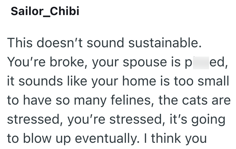 Sailor_Chibi This doesn't sound sustainable. You're broke, your spouse is ped, it sounds like your home is too small to have so many felines, the cats are stressed, you're stressed, it's going to blow up eventually. I think you